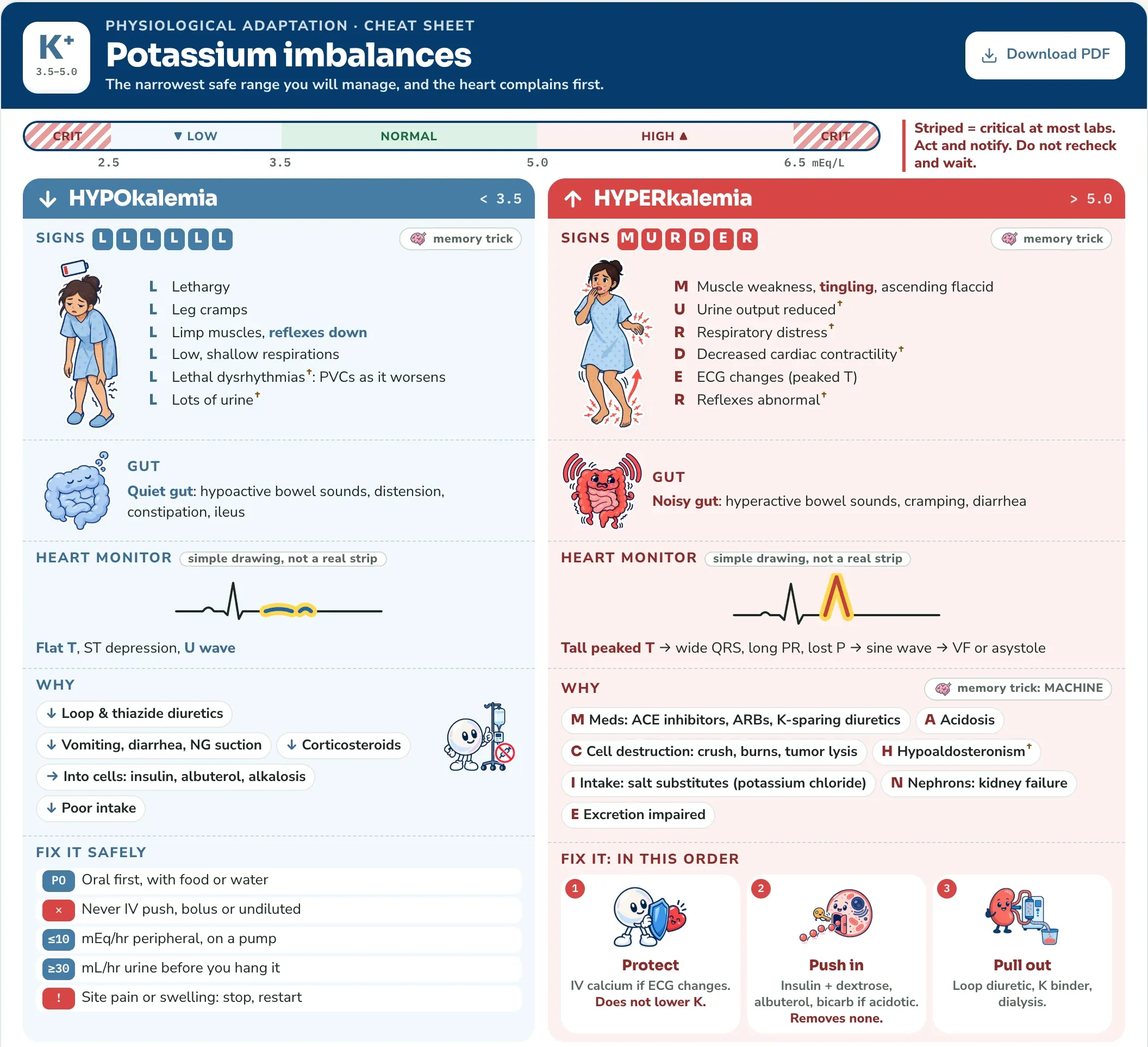 The PrepClex cheat sheet for potassium imbalances, with low and high potassium side by side: signs, heart monitor drawings, causes and treatment